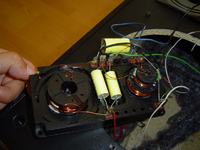 Zwrotnica do Tonsilów