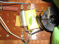 Kolumienki nie do kompletu...