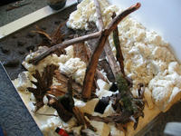 Zautomatyzowana komora dla roślin