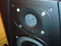 Co to za gąbka w Jamo?