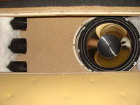 Jaki głośnik 300mm do skrzyni z wzmacniaczem Crunch GTX 2400 do 200zł?