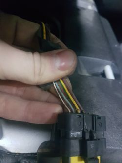 Peugeot 307 sw fl - Podłączenie przekaźnika do pompy paliwa