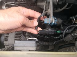 Berlingo I 1.9D 97r nie podaje paliwa na wtryski, nie odpala