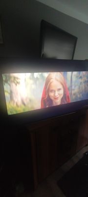 Telewizor wyświetlający obraz z cienkimi pionowymi kreskami.