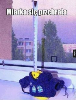 Miarka krawiecka w sweterku z podpisem Miarka się przebrała.