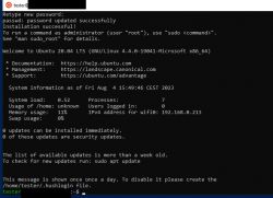 Ubuntu 20.04 in WSL – Welcome Screen After Installation Ubuntu 20.04 terminal launched in WSL showing the welcome message and system summary.