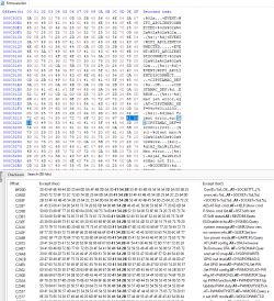 Fragment of a binary file displayed in a hex editor.