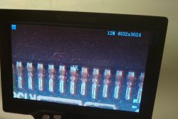 Tani mikroskop elektroniczny, recenzja Tani mikroskop elektroniczny, recenzja