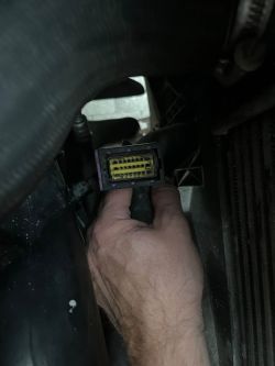 Wtyczka z 20 pinami trzymana w ręce w komorze silnika Renault Mastera