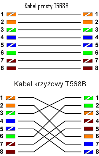 Characterize these Pinpoint Sieć komputerowa - czy 6 żył wystarczy? - elektroda.pl