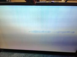 AOC E2795vh - Brak obrazu, matryca wybiela, napięcia sprawdzone, oscyloskop użyty