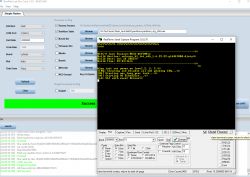 Tasmota replacement for BL602, programming, pairing with Home Assistant, now with OTA working!