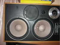 Kolumny tonsila, zdjęcie w środku, regeneracja glosnika