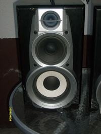 Subwoofer na dwóch głośnikach technics'a. Jak to zrobić??