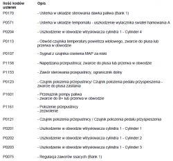Peugeot 206 1.4 16V 2004 - nie odpala, mimo wymiany aku i sprawdzenia wiązki. Błędy ECU i BSM
