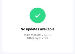 Software Updates - No Updates Available Screenshot of an app showing software update information: no updates available. Main module version is V1.3.10.