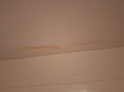 Brązowe plamy wilgoci na suficie w łazience w pobliżu płytek ceramicznych