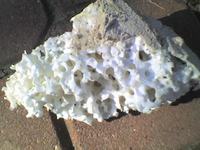 Ants Damaging Polystyrene Insulation in Garage Annex: How to Prevent? Ants Damaging Polystyrene Insulation in Garage Annex: How to Prevent?