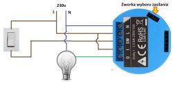 Wiring Shelly 1 for Dual Control: Phone and Key Switch Setup