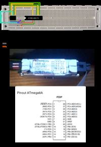 Podłączenie programatora z mikrokontrolerem - co robię źle?