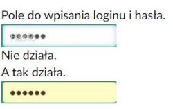 Can't Log in to Chomikuj.pl: Incorrect Password, WiFi/Phone/Ethernet Issues & Solutions