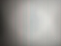 Pionowe niebieskie linie na monitorze iiyama G-Master G2470HSU przy wyświetlaniu różnych kolorów