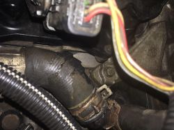 Jaki to przewód od płynu chłodniczego? Peugeot 206 1.1