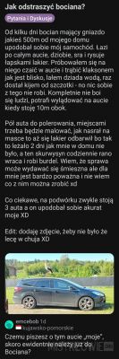 Zdjęcie samochodu na tle zielonego pola z bocianem stojącym na dachu.