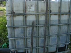 Rainwater Tanks: Preventing Algae Formation in Mauser 1000L Tanks with Proven Preparations