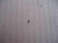 MP3/MP4 Player TOM-TEC usterka wyświetlacza