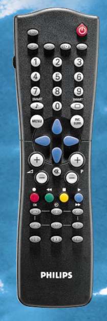 Oryginalny pilot do telewizora PHILIPS 24PW6324/58R - jaki model?