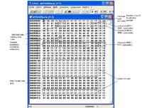 Immo Golf IV Benzyna 95040 potrzebuje pin