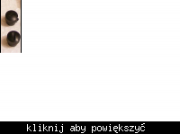 Gdzie dostać gałkę do potencjometru