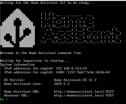 Home Assistant command line screen with system information.