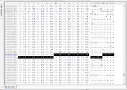 Zrzut ekranu edytora hex z zaznaczonym zakresem bajtów od adresu 0x338 do 0x347