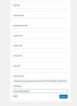 Logo elektrody wśród ikonek serwisów społecznościowych na stronie internetowej