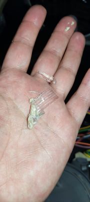 Zmywarka Amica ZIM 629E - Napęd buczy/ wpada w rezonans