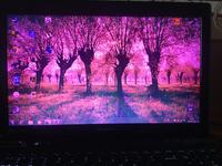 Lenovo Y580 - Ekran zrobił się różowy Lenovo Y580 - Ekran zrobił się różowy