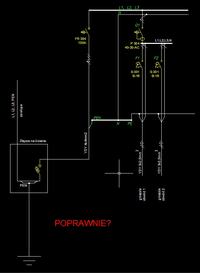 TN-C to TN-S Conversion in an Old House: Grounding at Distribution Point?