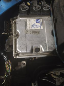 Peugeot 206 2.0 HDi rok 2001 nie odpala