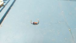 Jaka to dioda? - Problem ze znalezieniem wartości diody z konsoli table Soccer z 1981r