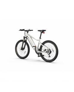 electric bike - I am planning to buy one, please advise what to choose.