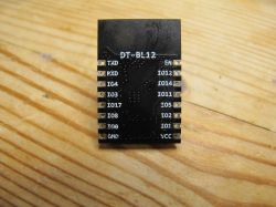 DT-BL12 Module View of DT-BL12 module on a wooden surface showing pins.