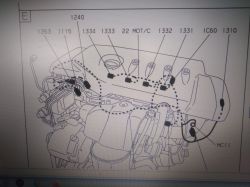 Citroen/C3/1.4HDI - Gdzie czujnik temparatury powietrza? Jaki kolor kabli?