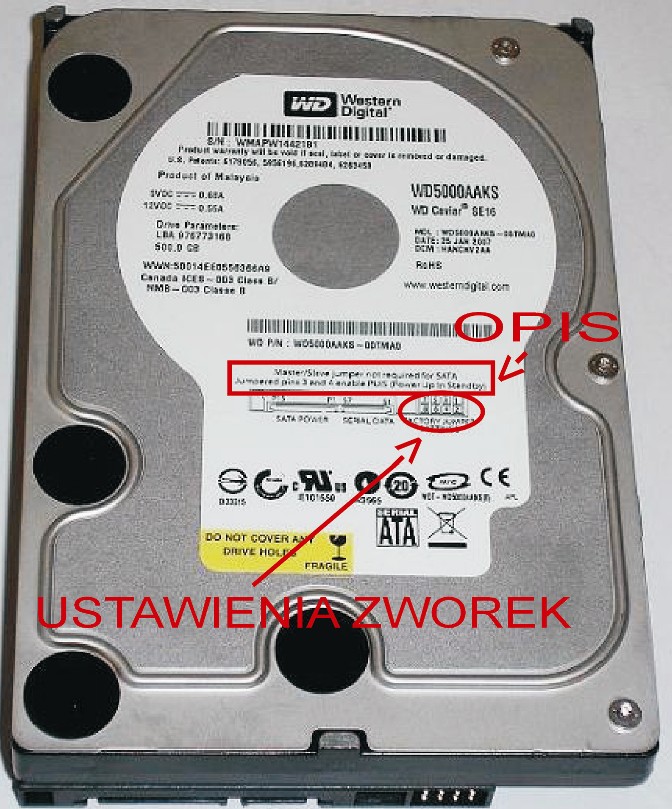 Jak ustawić zworki w dysku WD AAKS SATA2 na płycie z SATA1?