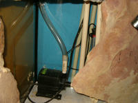 Zautomatyzowana komora dla roślin