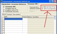 Integra 128 WRL - jak poprawnie skonfigurować sterowanie przez SMS?