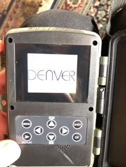 WCM-8010 Screen Continuously Flashes Denver Logo Upon Startup - User Experiences