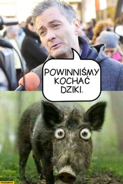 Wykorzystanie dronów w łowiectwie - nadmierna populacja dzików i ASF