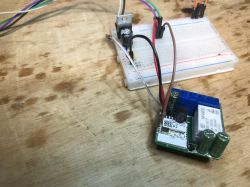 AVATTO WSM16-W2: Dual Relay Module AVATTO WSM16-W2 module with two relays on a workbench.